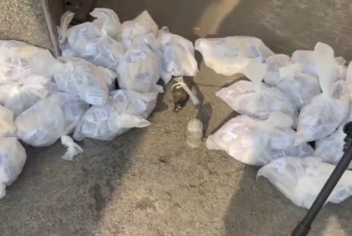 PM recolhe granada que teria sido jogada por drone no Quitungo