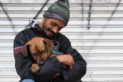 Justiça reconhece cão como membro da família e devolve animal a tutores em situação de rua
