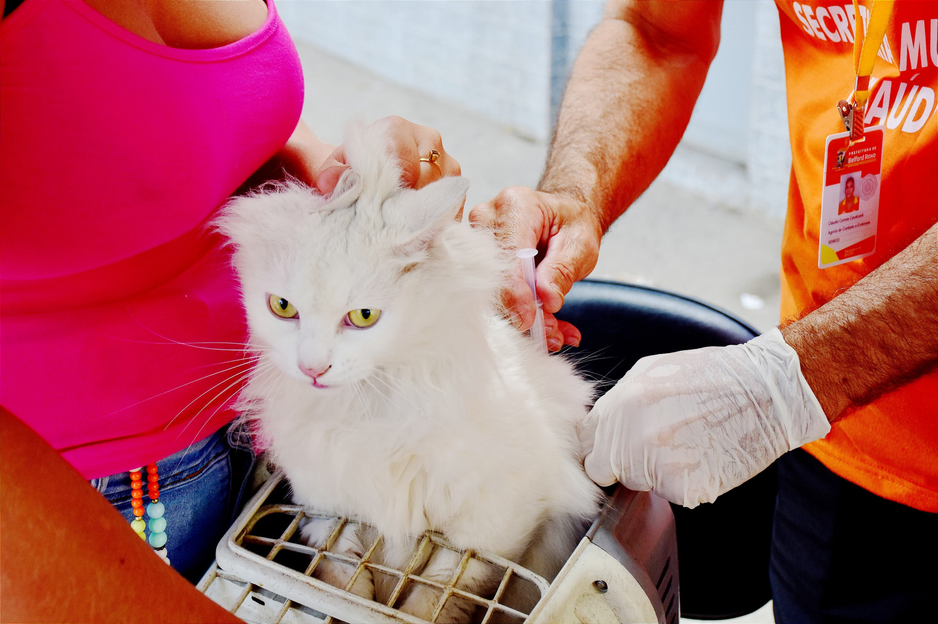 Durante a a&ccedil;&atilde;o social na Prata, c&atilde;es e gatos puderam ser vacinados contra  raiva - Jo&atilde;o Vitor Azevedo/P&acirc;mela Sampaio / PMBR