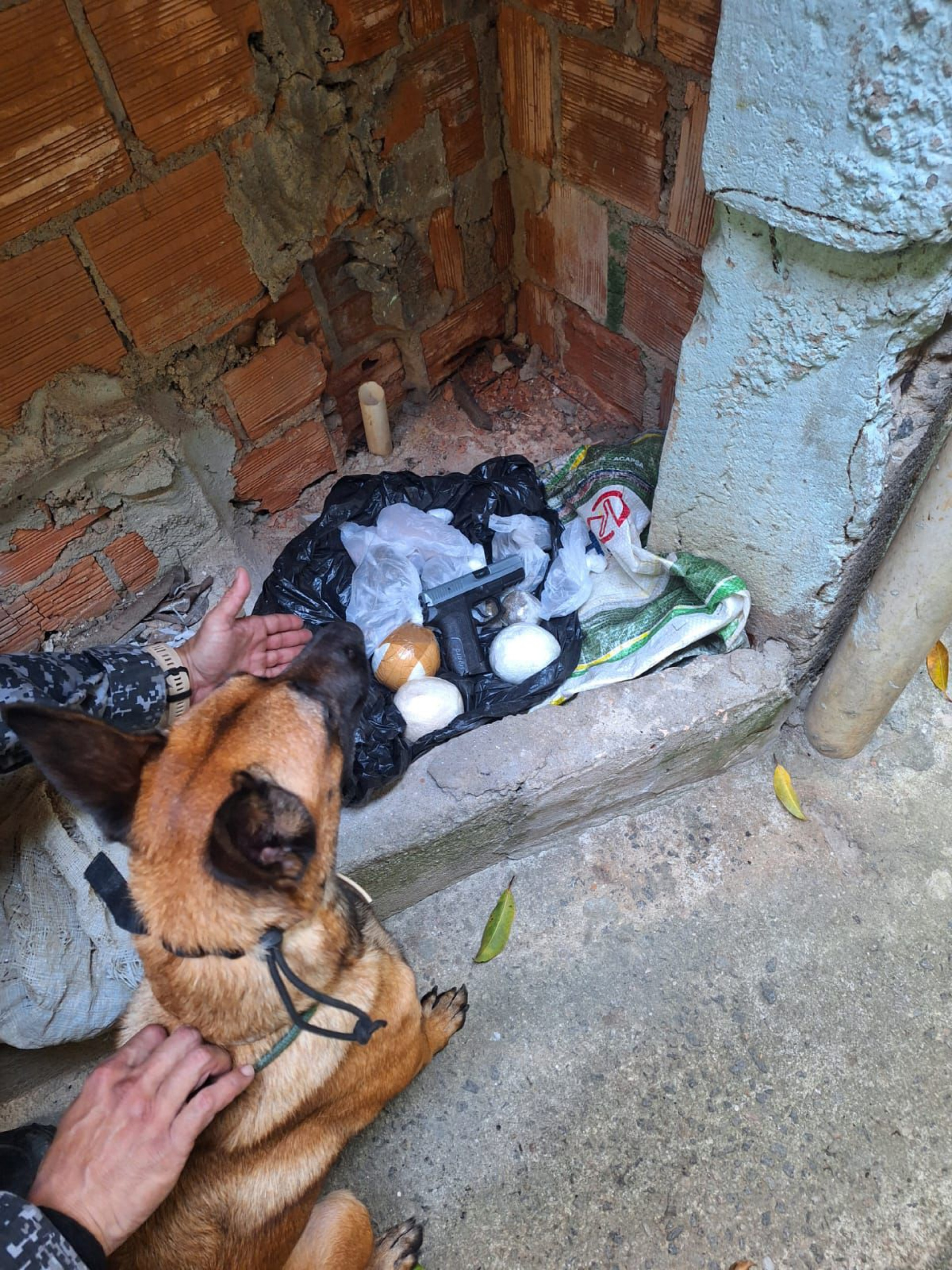 Além da estufa, os agentes encontraram drogas e uma pistola no complexo - Divulgação / @pmerj