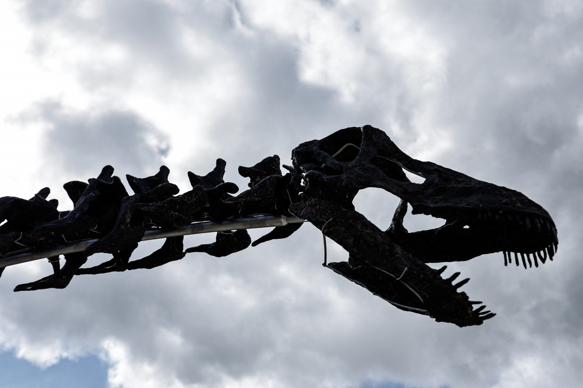 Valor do esqueleto pode chegar a R$ 29,5 milhões - Stephane de Sakutin/AFP