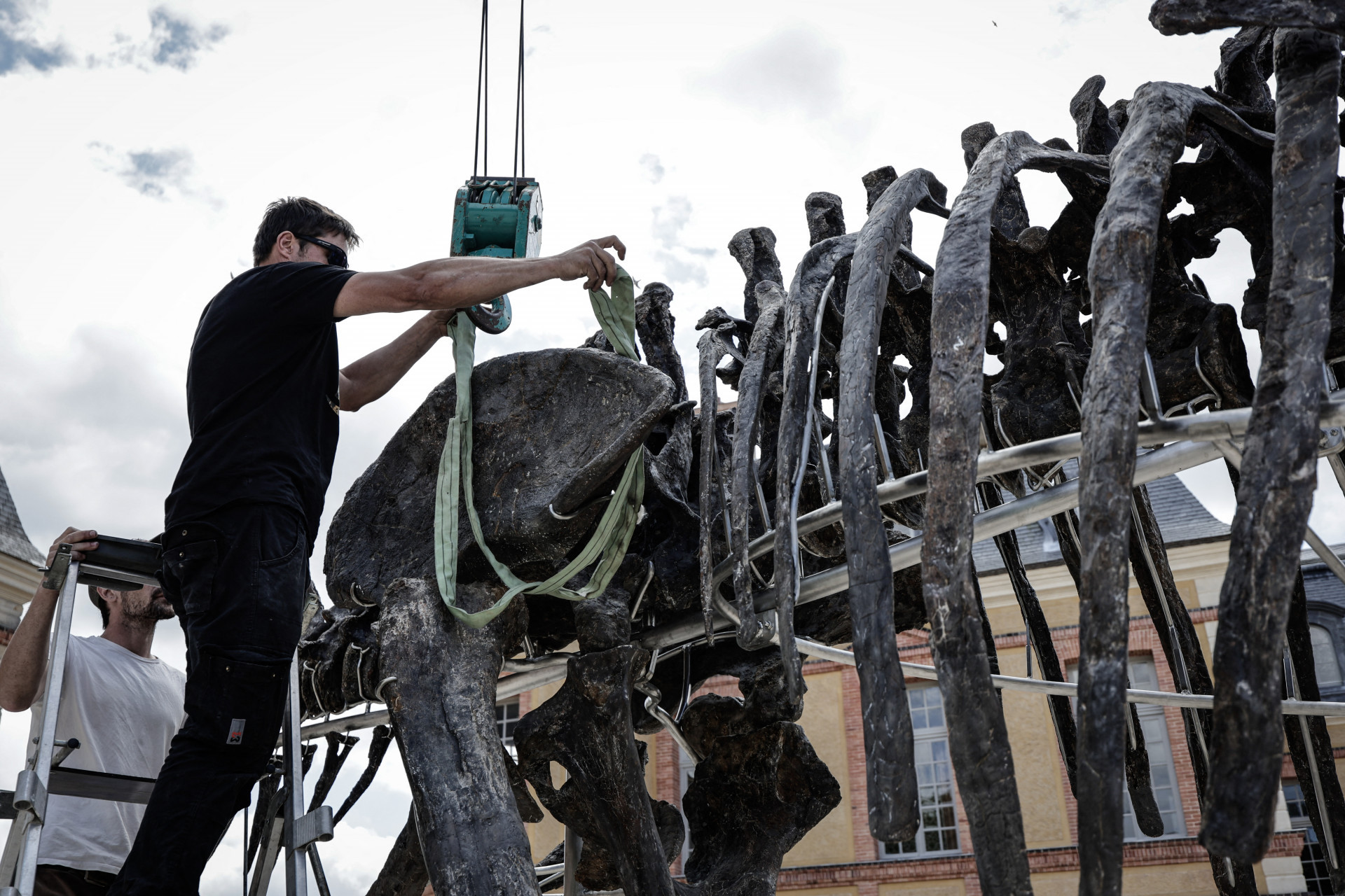 Ossos do animal foram encontrados em Wyoming, nos Estados Unidos  - Stephane de Sakutin/AFP