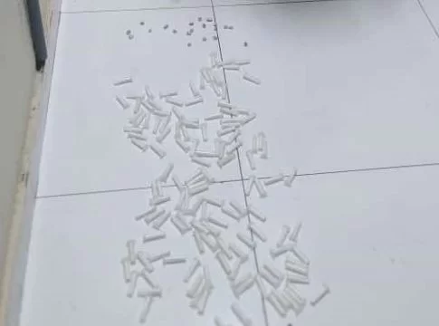 Material ilícito é apreendido pela Polícia Militar no distrito de São Vicente