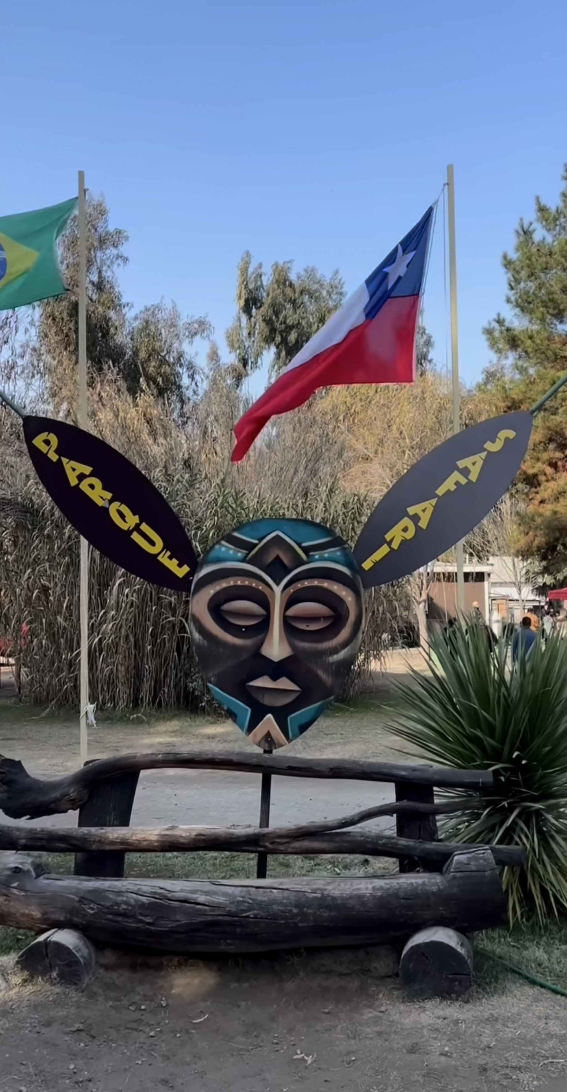 Lexa e Ricardo Vianna mostram encontro com leão em safari - Reprodução