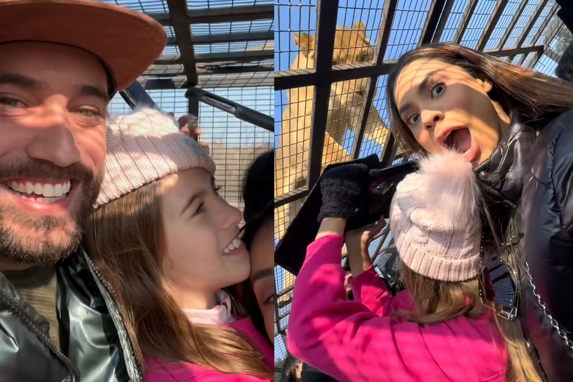 Ricardo Vianna e Lexa mostram encontro com leão em safari - Reprodução