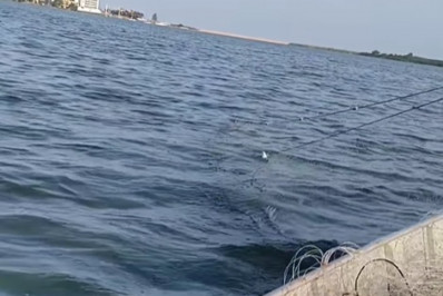 Apreensão de redes ilegais na Lagoa de Imboassica