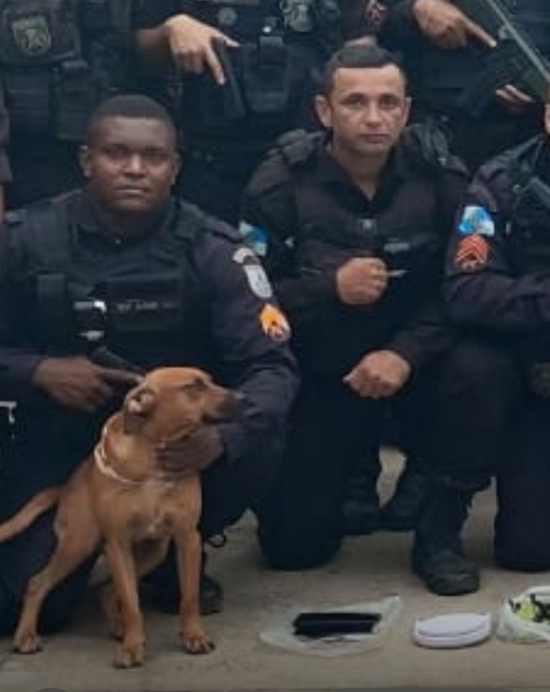 Caramelo participou ativamente da intensa operação