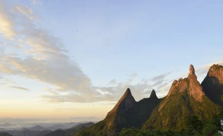 Parnaso lança editais para contratação de agentes temporários ambientais