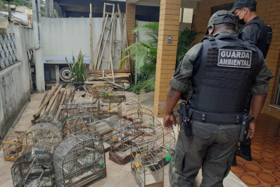 Intensificação de fiscalizações reduz crimes ambientais em Barra Mansa