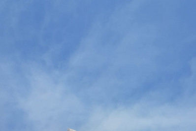 PUC-Rio apresenta exposição em Nova York sobre desfile da Grande Rio