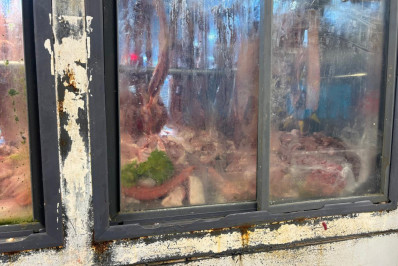 Fiscalização flagra cerca de 300 kg de produtos impróprios em supermercado na Baixada Fluminense