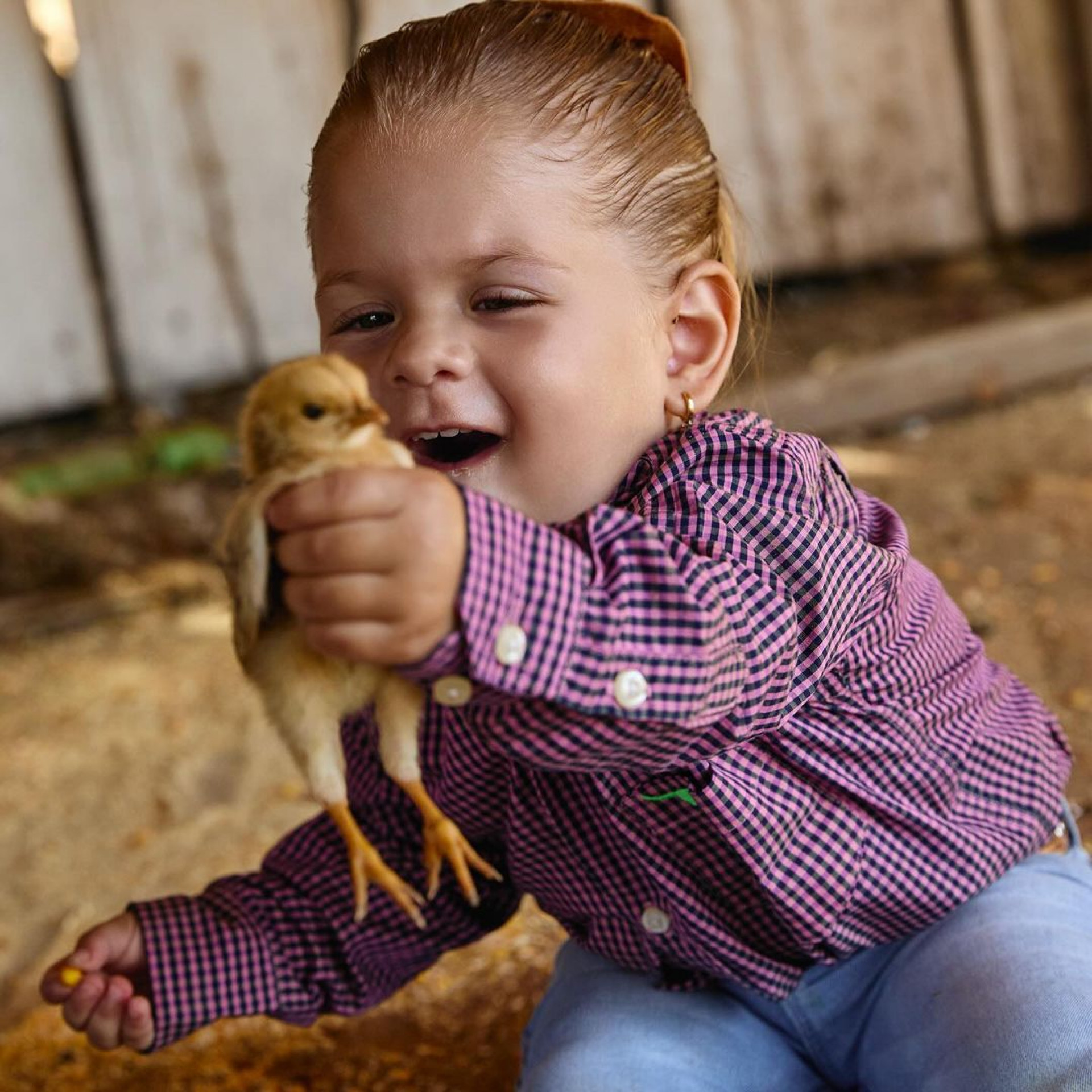 Virginia mostra ensaio fotográfico de gestante ao lado das filhas - Reprodução