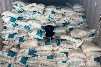 Carga de cocaína avaliada em R$ 90 milhões é apreendida no Porto do Rio