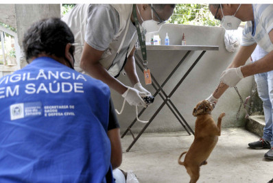 Barra Mansa orienta sobre cuidados em relação à Leishmaniose Visceral