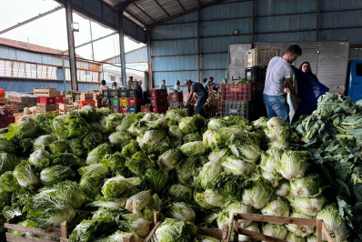 Agricultura entrega alimentos do PAA a todas as instituições cadastradas 