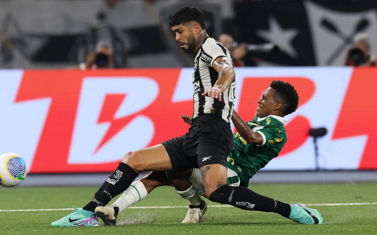 Momento da lesão de Estêvão, do Palmeiras, em dividida com Barboza, do Botafogo