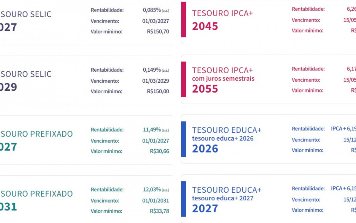 Diversos tipos de investimentos são oferecidos na plataforma do Tesouro Direto