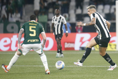 Vídeo: assista os melhores momentos da vitória do Botafogo sobre o Palmeiras