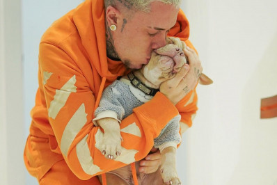 MC Daniel lamenta morte do cachorro: 'Dor inexplicável'