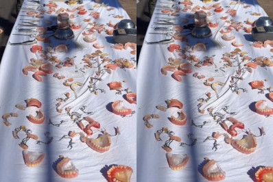 Vídeo: feira chama a atenção na internet com venda de diferentes tipos de dentaduras