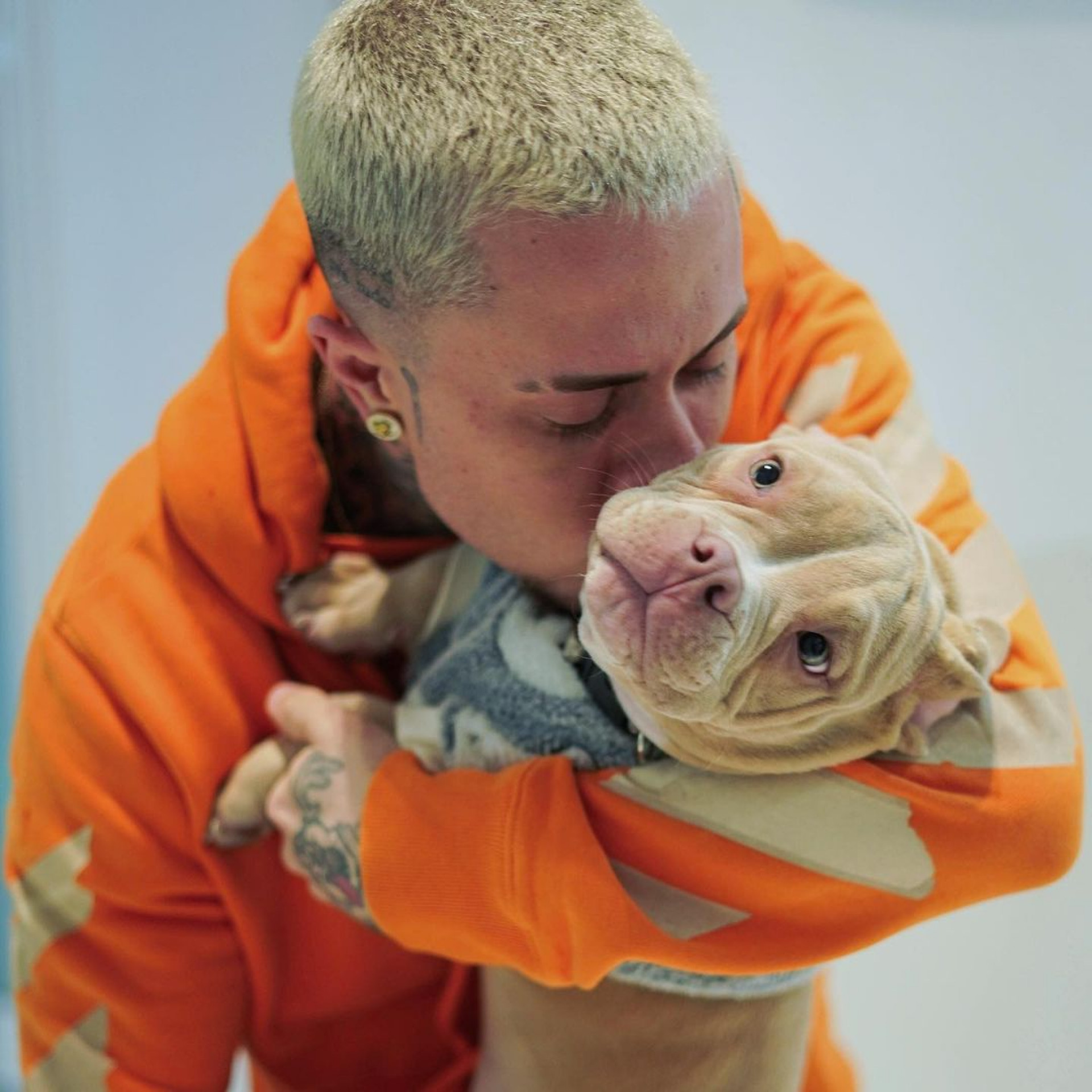 MC Daniel lamenta morte do cachorro - Reprodução