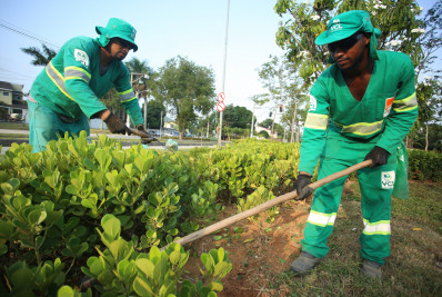 Canteiros de Niterói expõem o trabalho através de mudas e flores