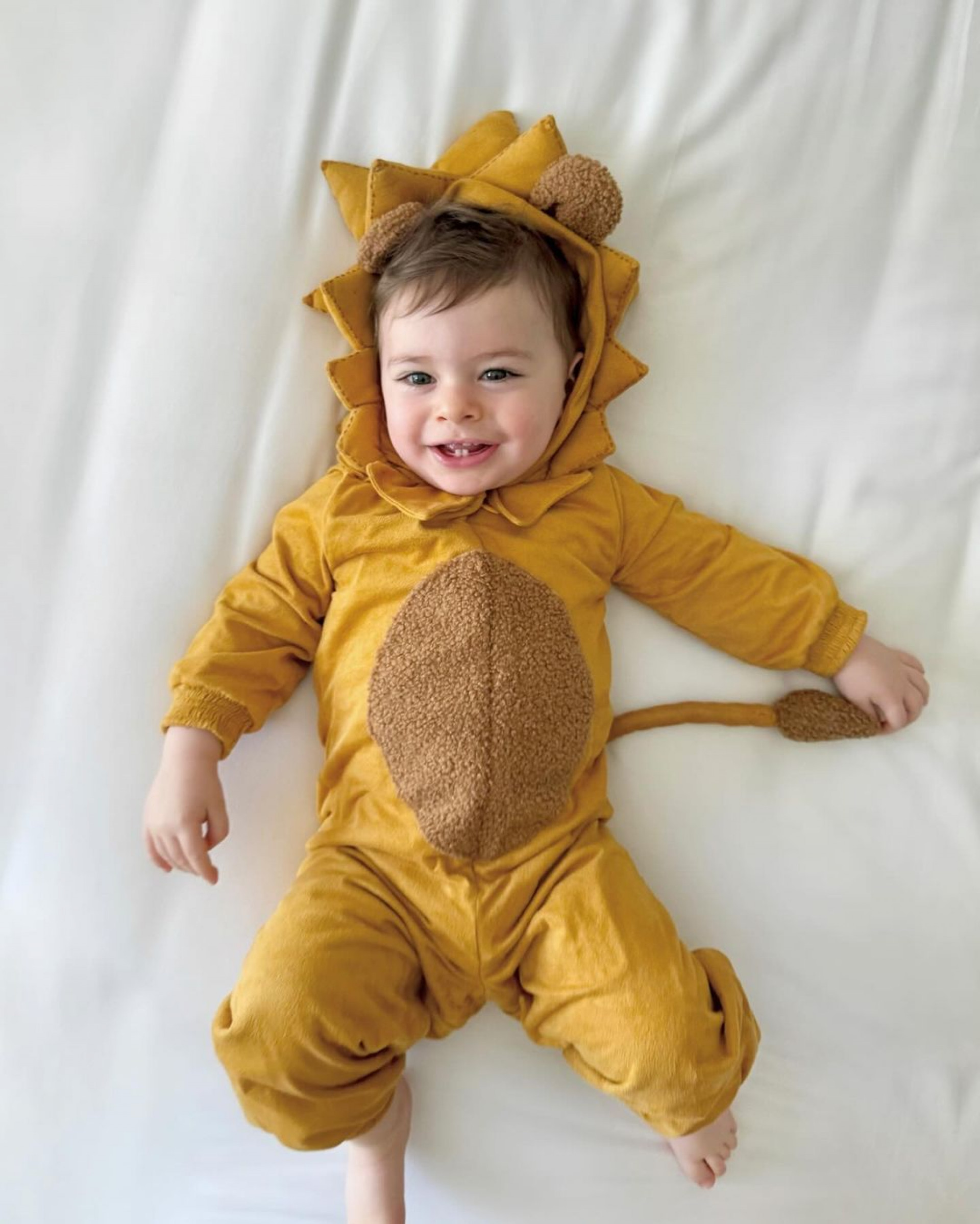 Fabiana Justus celebra mesversário do filho com tema de 'Mágico de Oz' - Reprodução