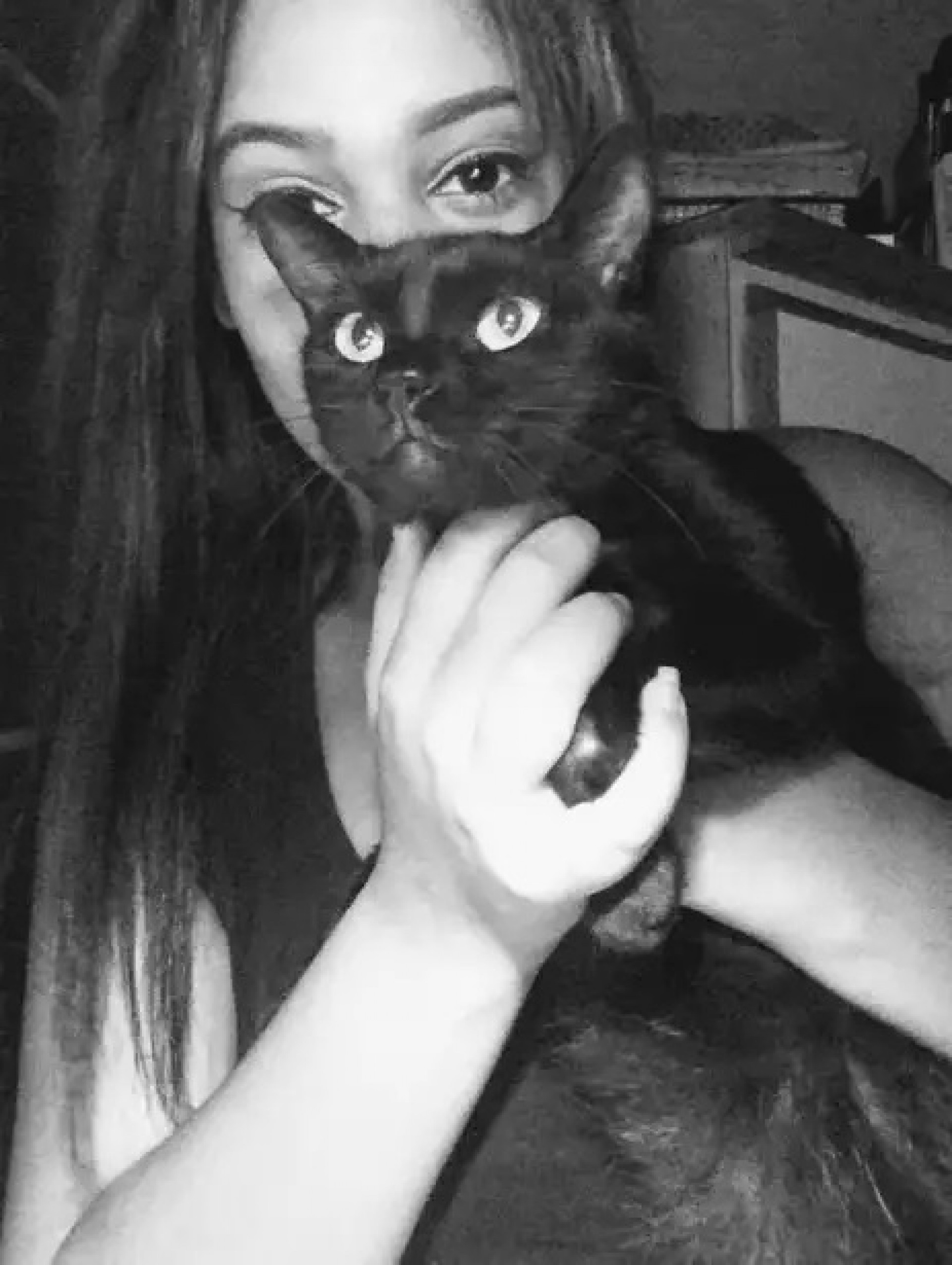 Para Raquel Coutinho, a gatinha Azeitona &eacute; parte da fam&iacute;lia - Raquel Coutinho/Arquivo Pessoal