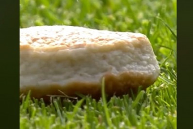 Vídeo: jogo é suspenso depois de 'chuva' de bolinhos de peixe