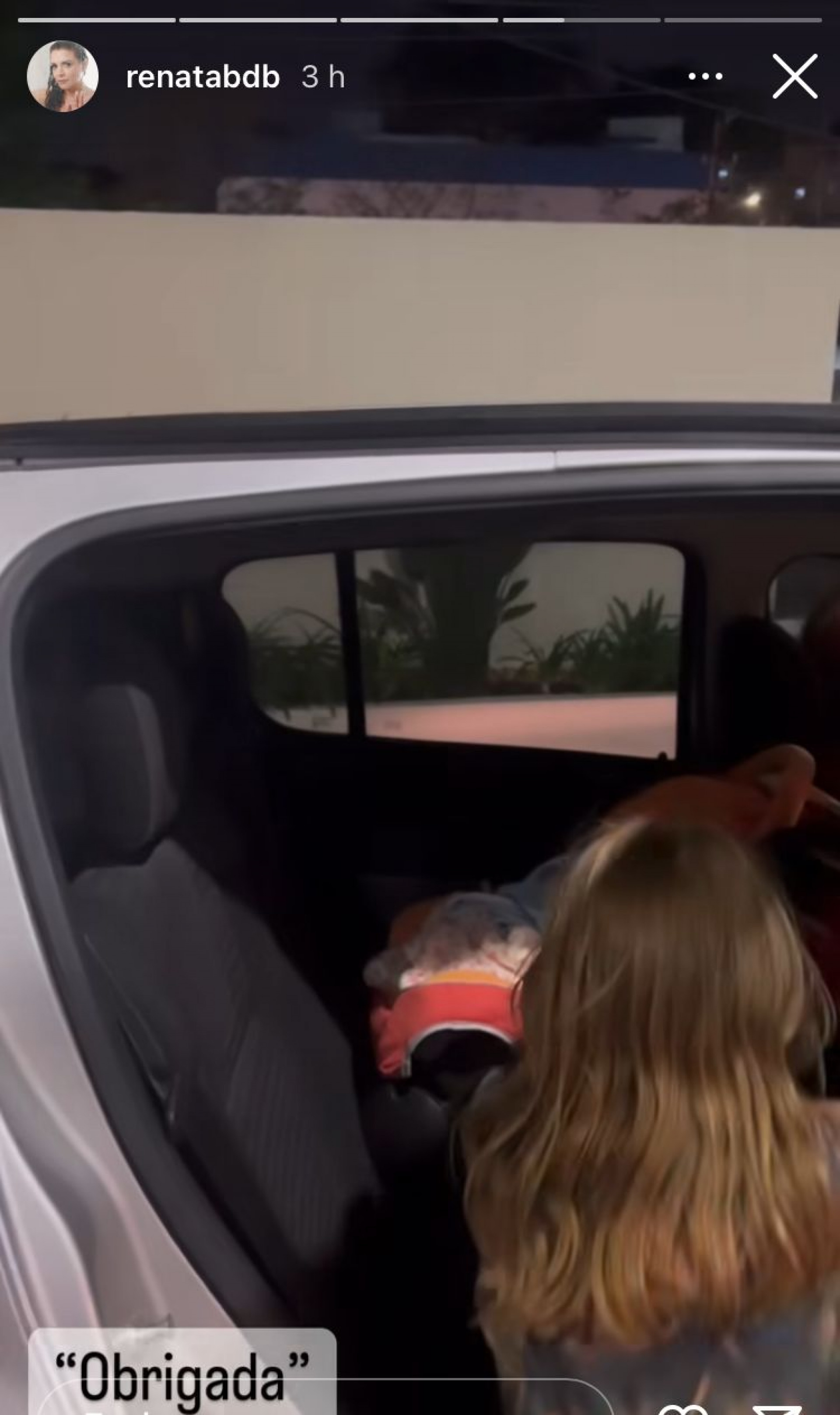 Aurora, filha de Renata del Bianco, agradece à mãe pelo irmão - Reprodução / Instagram