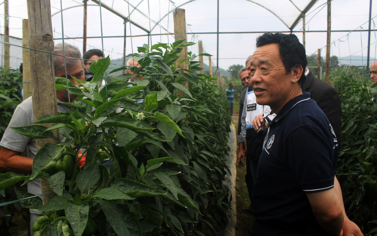 Diretor-Geral da FAO fica impressionado com agricultura familiar de Mag&eacute; - Divulga&ccedil;&atilde;o