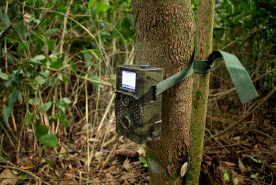 Inventário faunístico da enseada de Jurujuba dobra registros de espécies