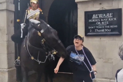 Vídeo: turista desmaia após ser mordida por cavalo da Guarda Real em Londres