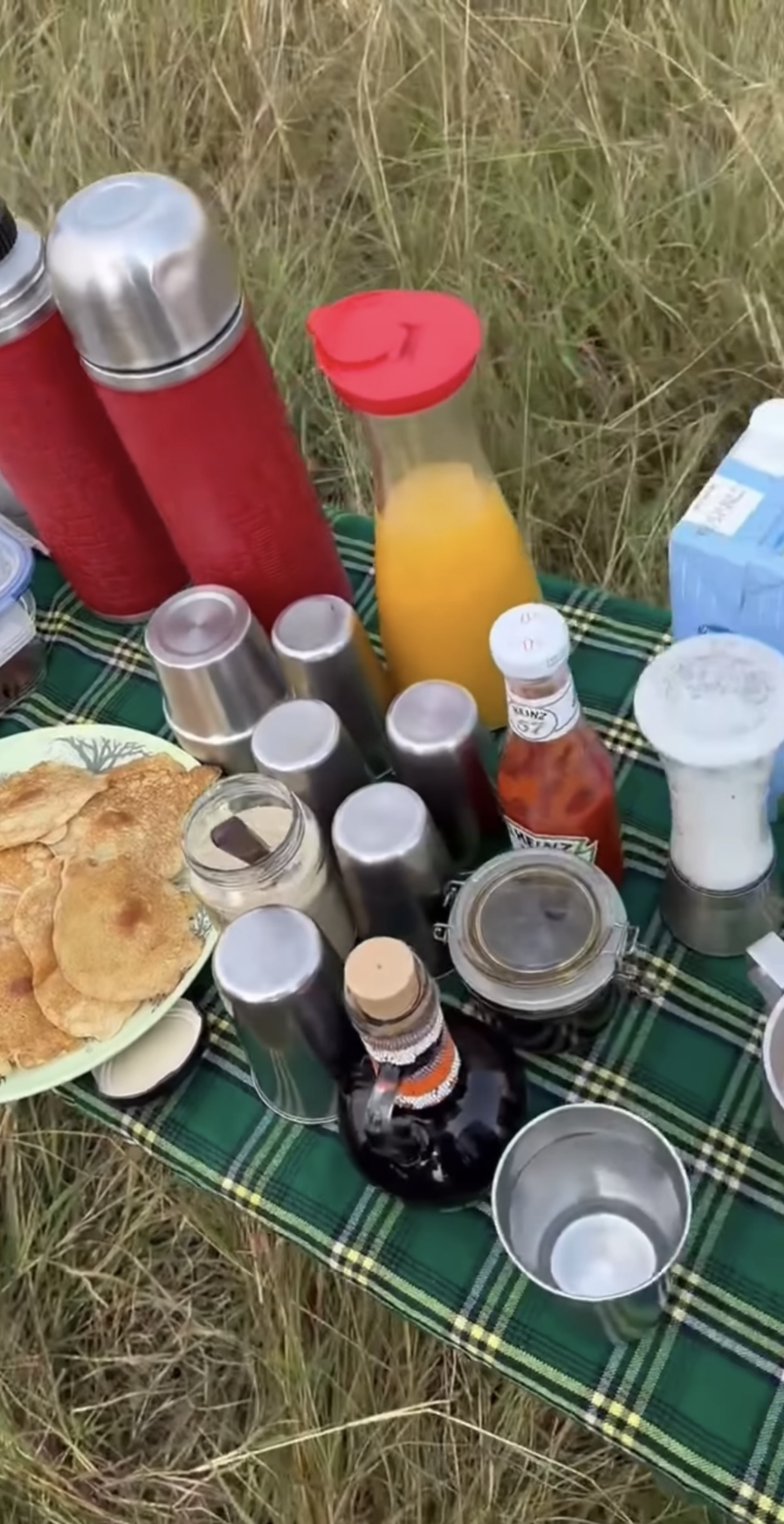 Deborah Secco curte Safari na África ao lado da filha - Reprodução