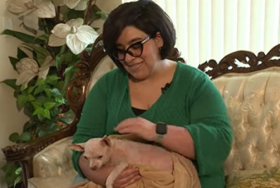 Incrível! Cão perdido há nove anos é devolvido para a tutora