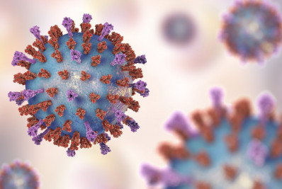 Pouco falado, vírus sincicial respiratório é uma das principais causas de infecções respiratórias em bebês