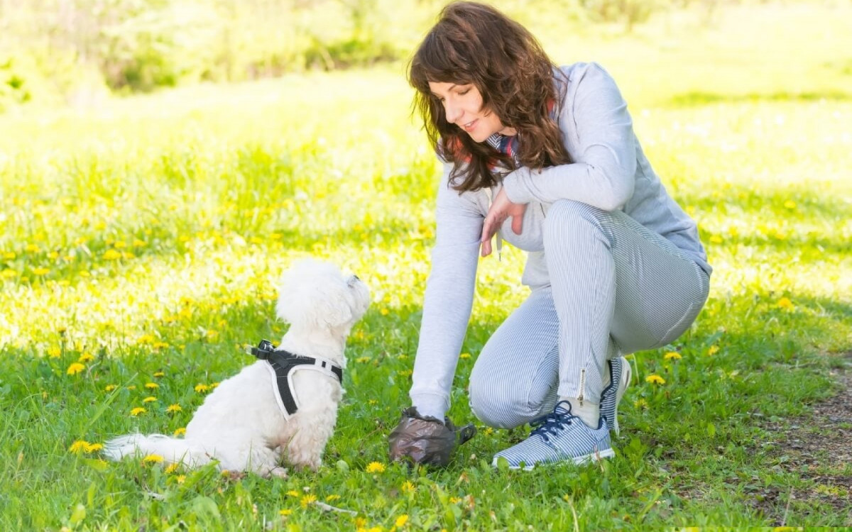 Evitar o contato com as fezes e urina de pets é fundamental para evitar doenças causadas por parasitas (Imagem: Monika Wisniewska | Shutterstock) 