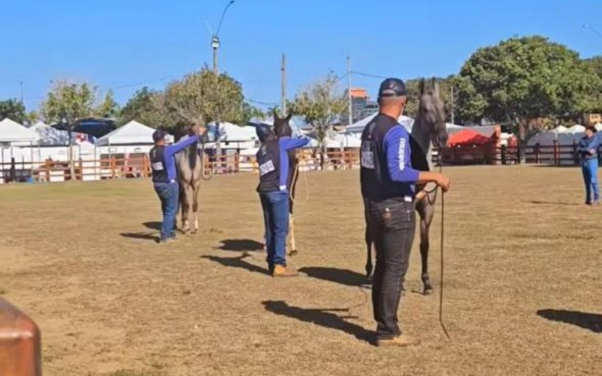 Visitantes apreciam a diversidade de raças bovinas e equinas na Expo Macaé 2024, promovendo a cultura agropecuária na região
