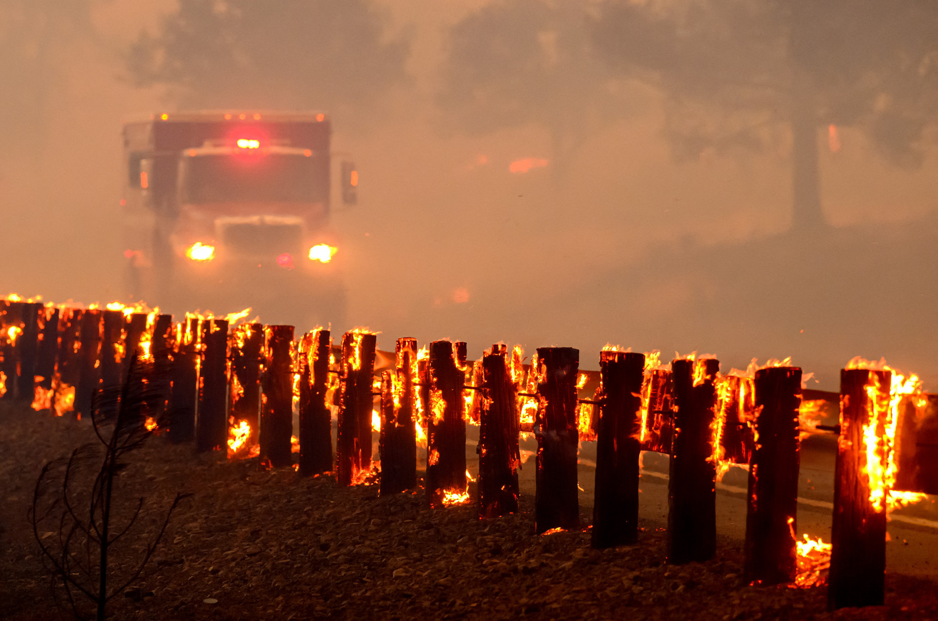 Mais de 1.600 bombeiros combatem as chamasn a Califórnia - Josh Eldeson / AFP