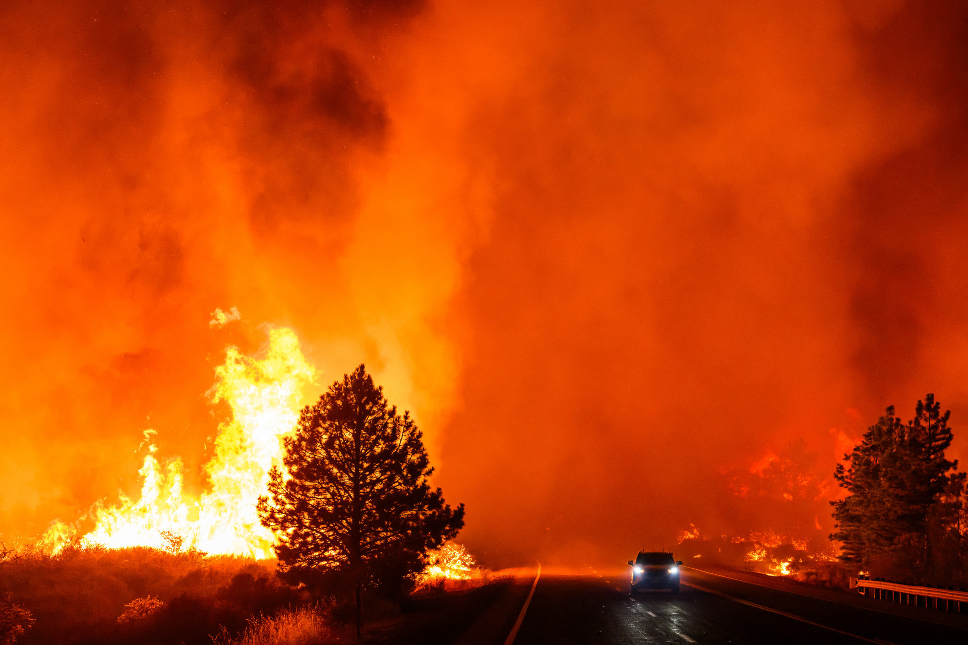 Primeiro grande incêndio da temporada na Califórnia já devastou mais de 72.000 hectares - Josh Eldeson / AFP