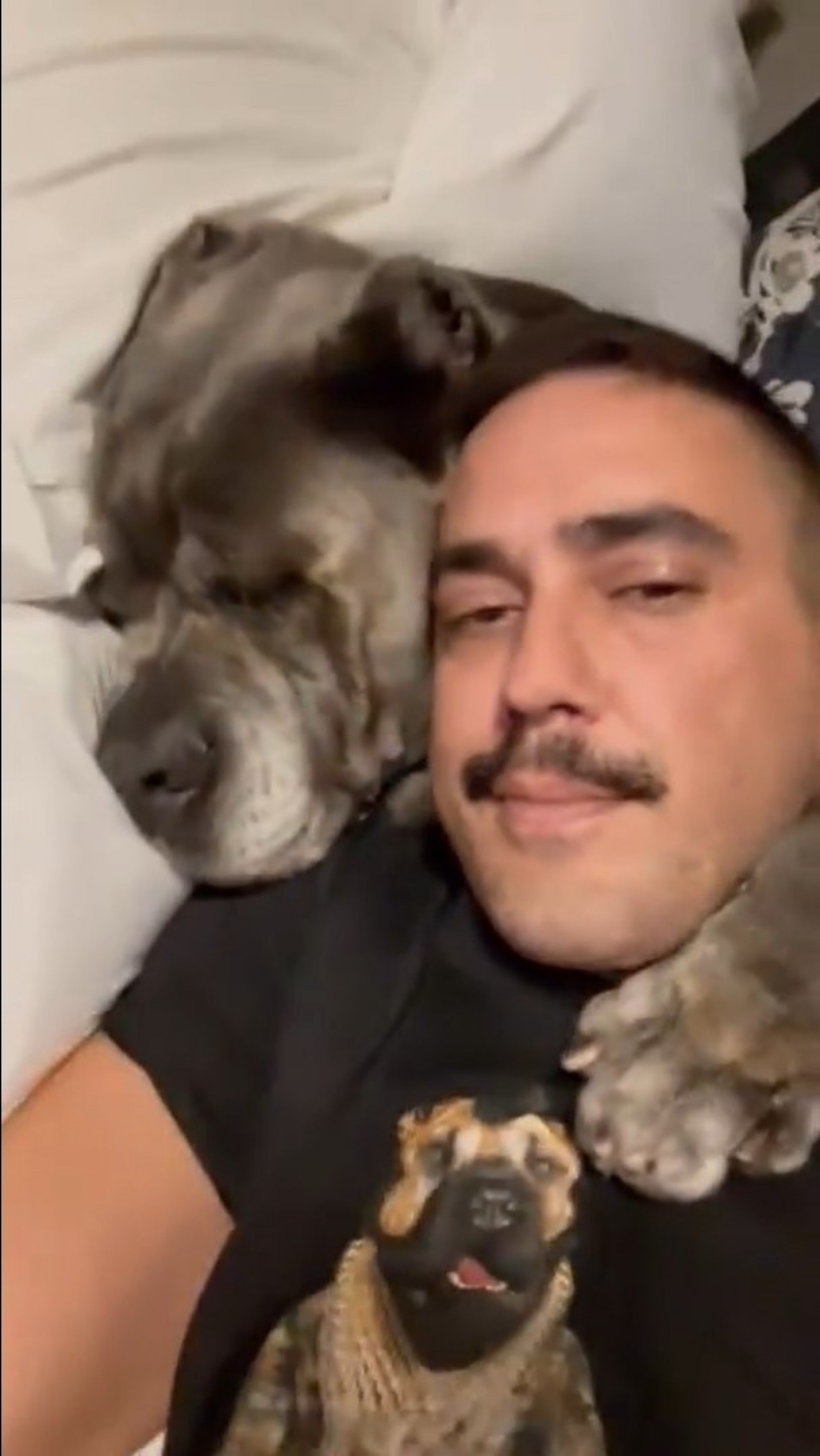 Andre Marques publica texto emocionante sobre morte de cachorra - Reprodução / Instagram