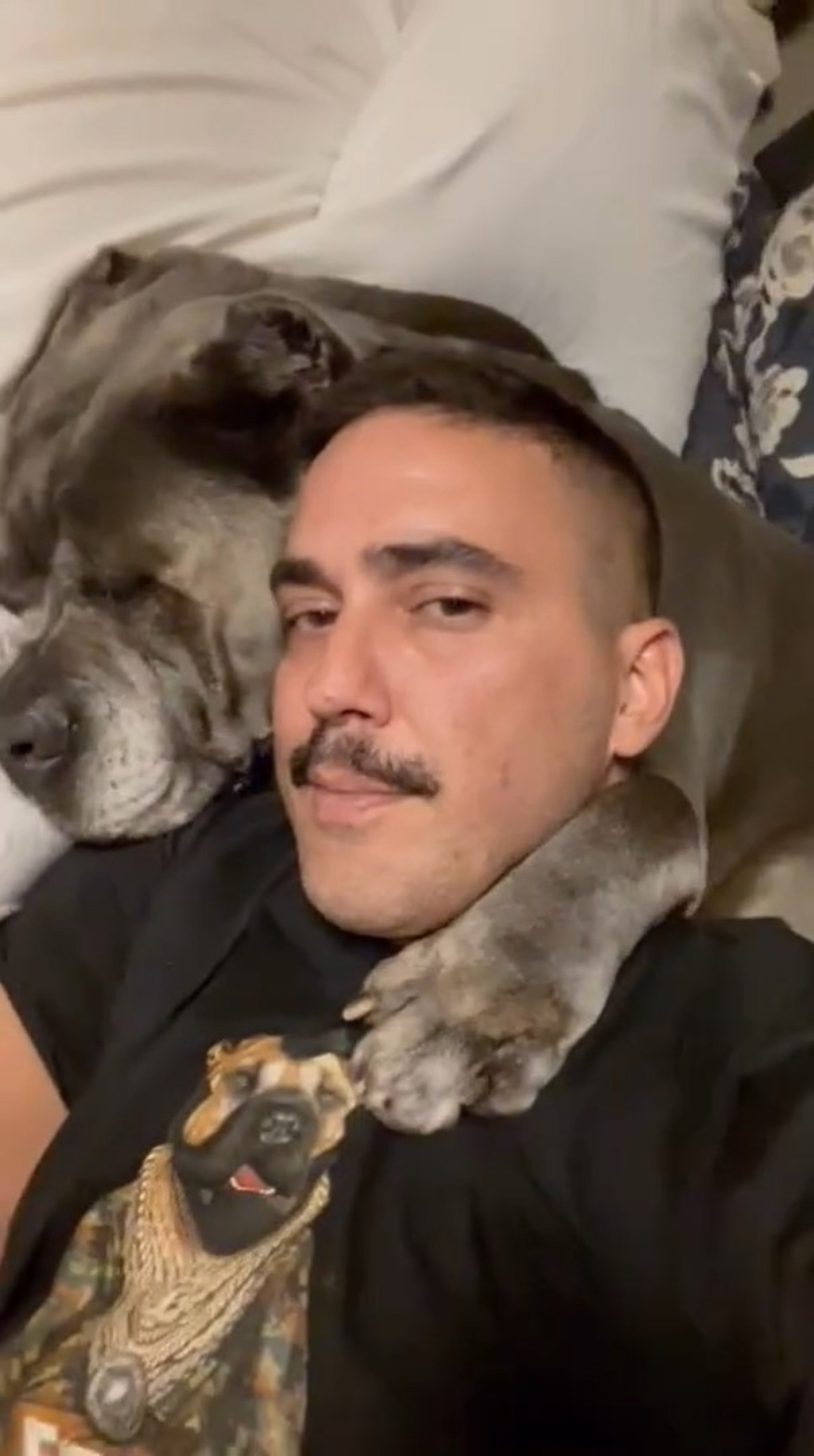 Andre Marques publica texto emocionante sobre morte de cachorra - Reprodução / Instagram