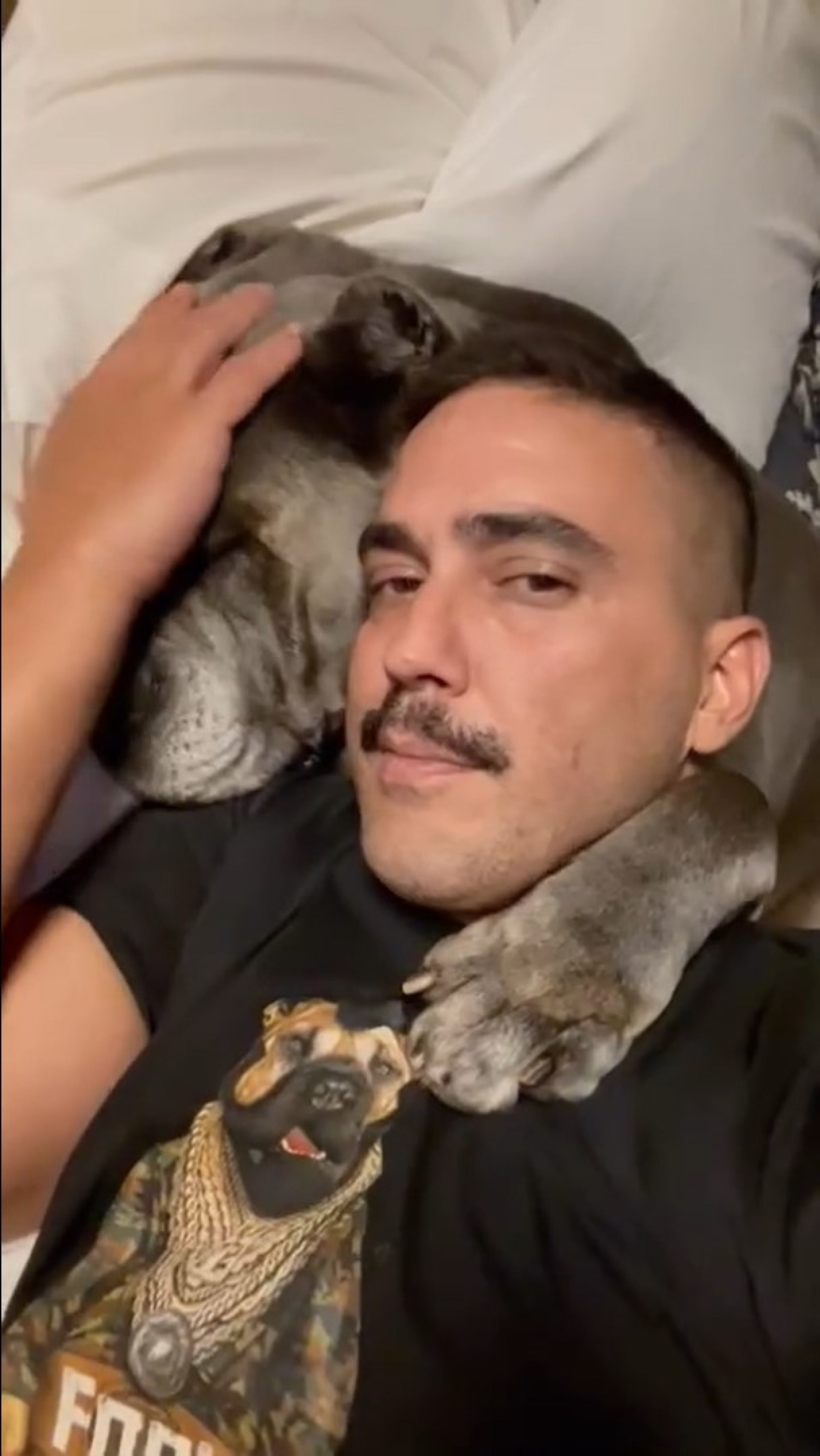 Andre Marques publica texto emocionante sobre morte de cachorra - Reprodução / Instagram