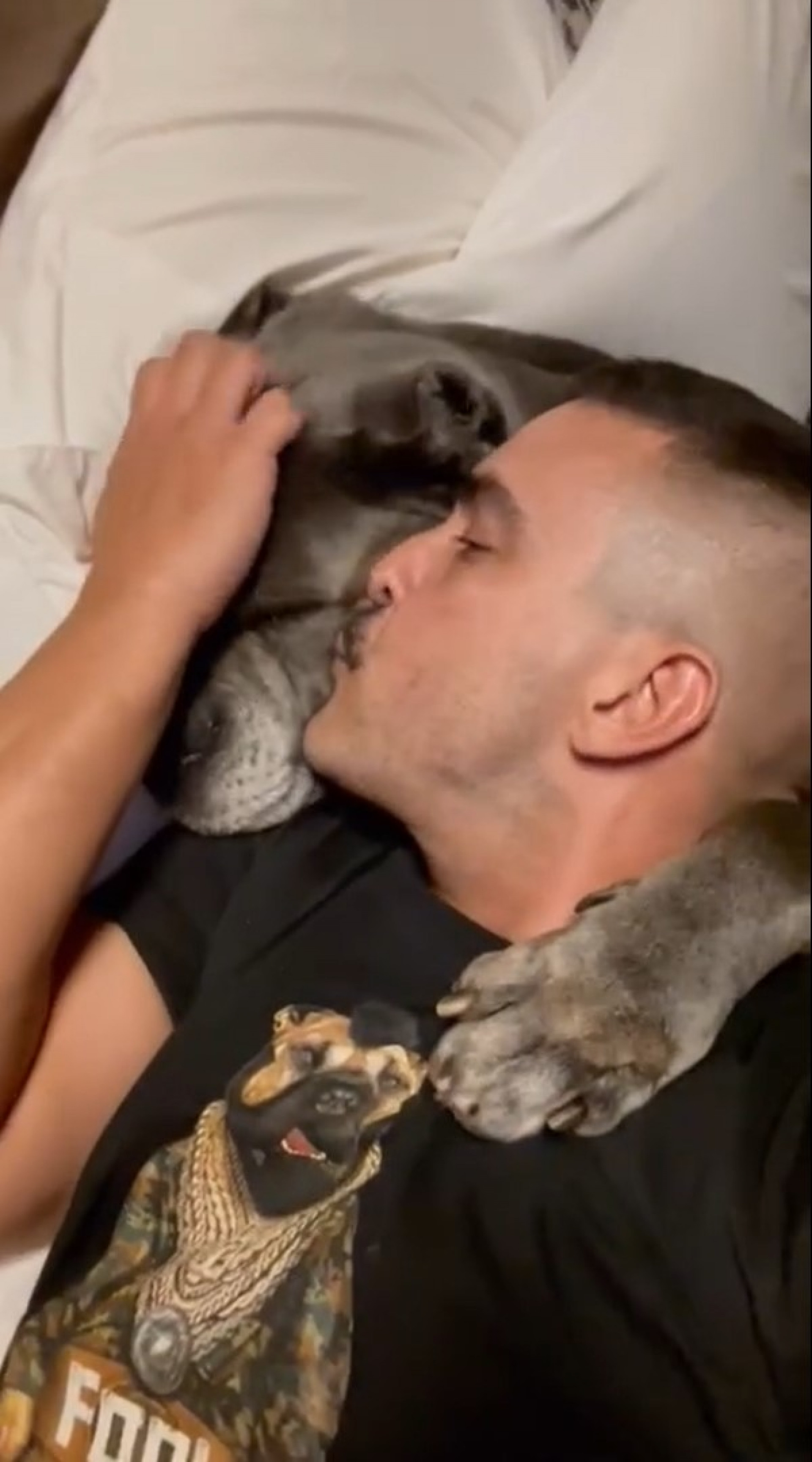 Andre Marques publica texto emocionante sobre morte de cachorra - Reprodução / Instagram