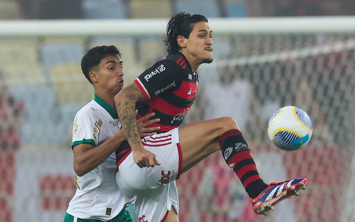 Flamengo joga muito e vence o Palmeiras no Maracanã