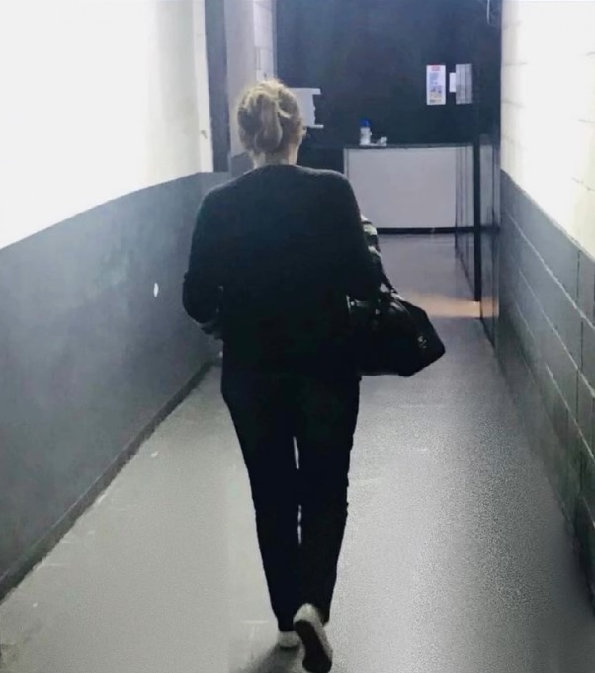 Sonia Abrão lamenta morte de cachorrinha Chandon  - Reprodução / Instagram