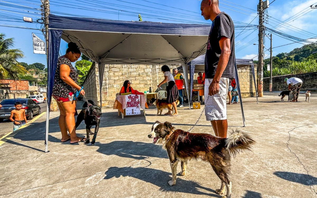 Mais de 9 mil animais já foram imunizados na campanha anual de antirrábica