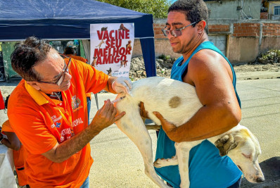 Campanha de Vacinação Antirrábica imuniza 460 cães e gatos em Belford Roxo