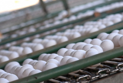 Ministério da Agricultura revoga exigência de carimbo em ovos vendidos ao consumidor
