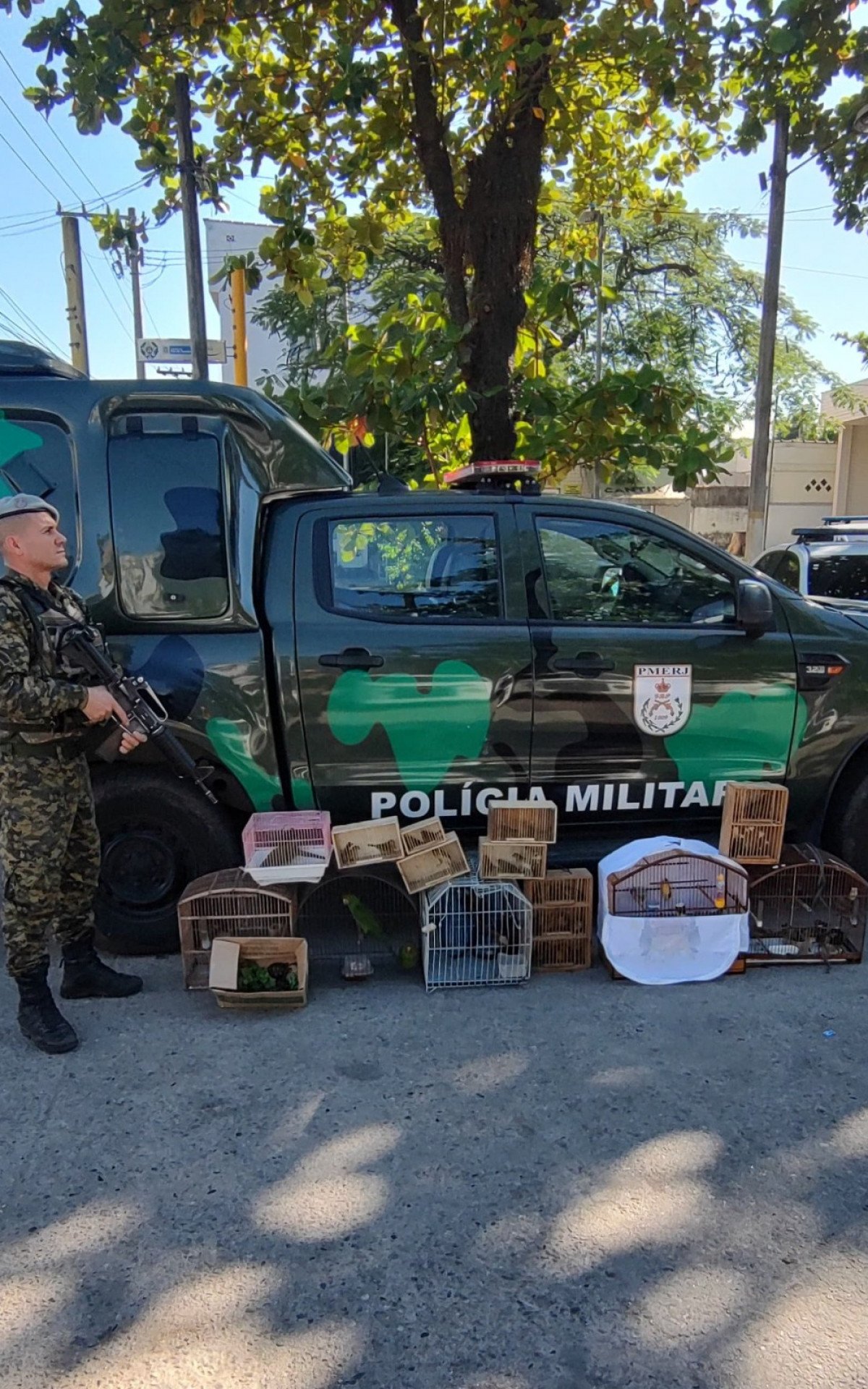 PMs encontraram os animais sendo vendidos na feira de Areia Branca - Reprodução / Redes sociais